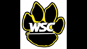 Wayne Logo